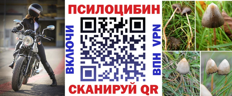 Галлюциногенные грибы мухоморы  цена   Гусиноозёрск 